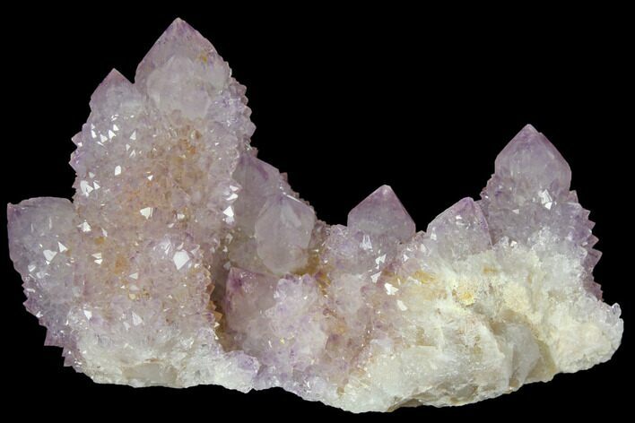 Cactus Quartz (Amethyst) Crystal Cluster - South Africa #132508